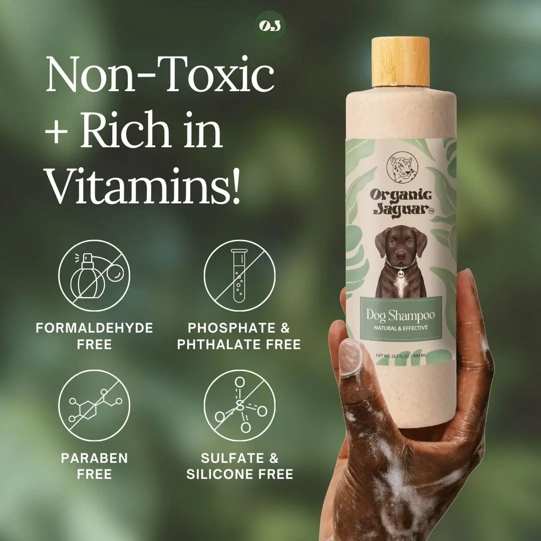 Gentle Organic Dog Shampoo for a Clean, Soft, and Happy Pup