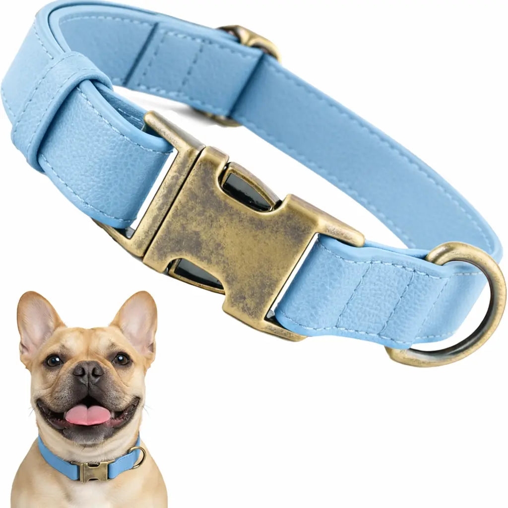 Waterproof, Odor-Free Silicone Dog Collar with Strong Metal Buckle – Perfect for Active Pups!