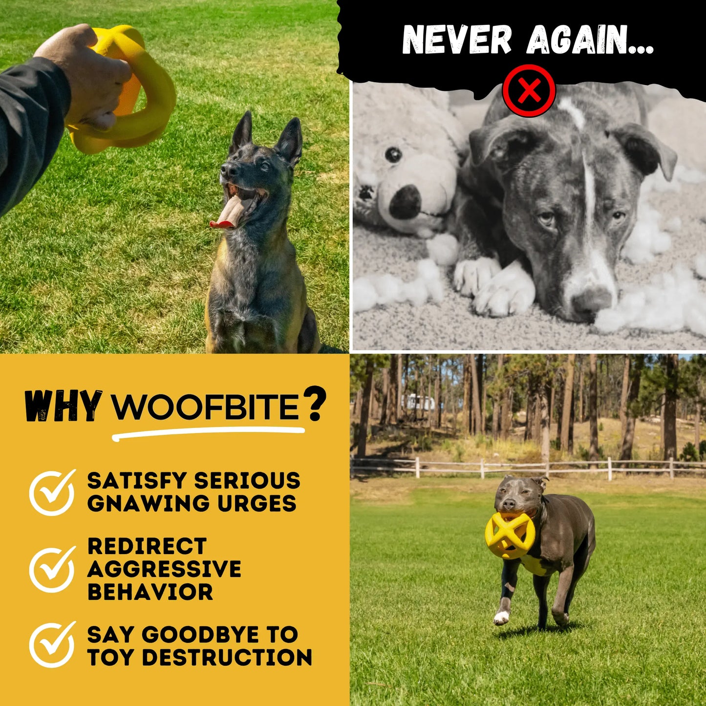 Unleash the Fun with the Monster K9 Giant Halo Ball – The Ultimate Indestructible Dog Toy for XL & Large Breed Power Chewers!
