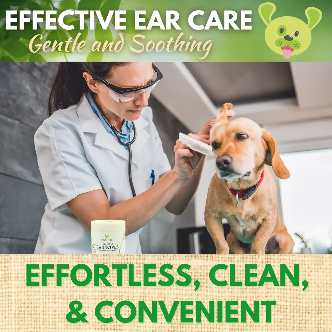 EcoBark Natural Dog Ear Wipes - Gentle Coconut Cleansing for Healthy Ears (50 Count)