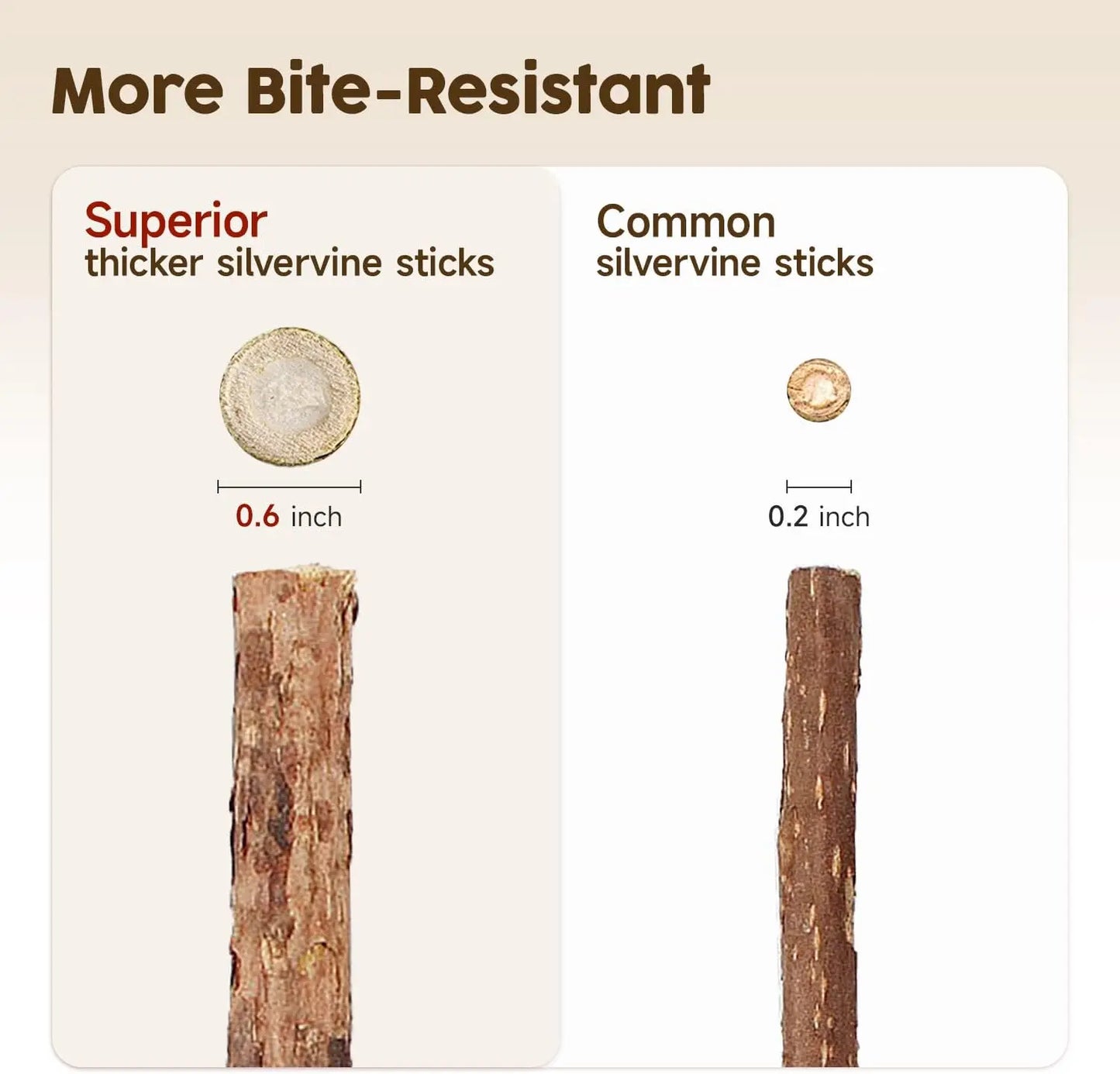 Natural Silvervine Chew Sticks for Cats - Premium Interactive Toy for Teething and Dental Health