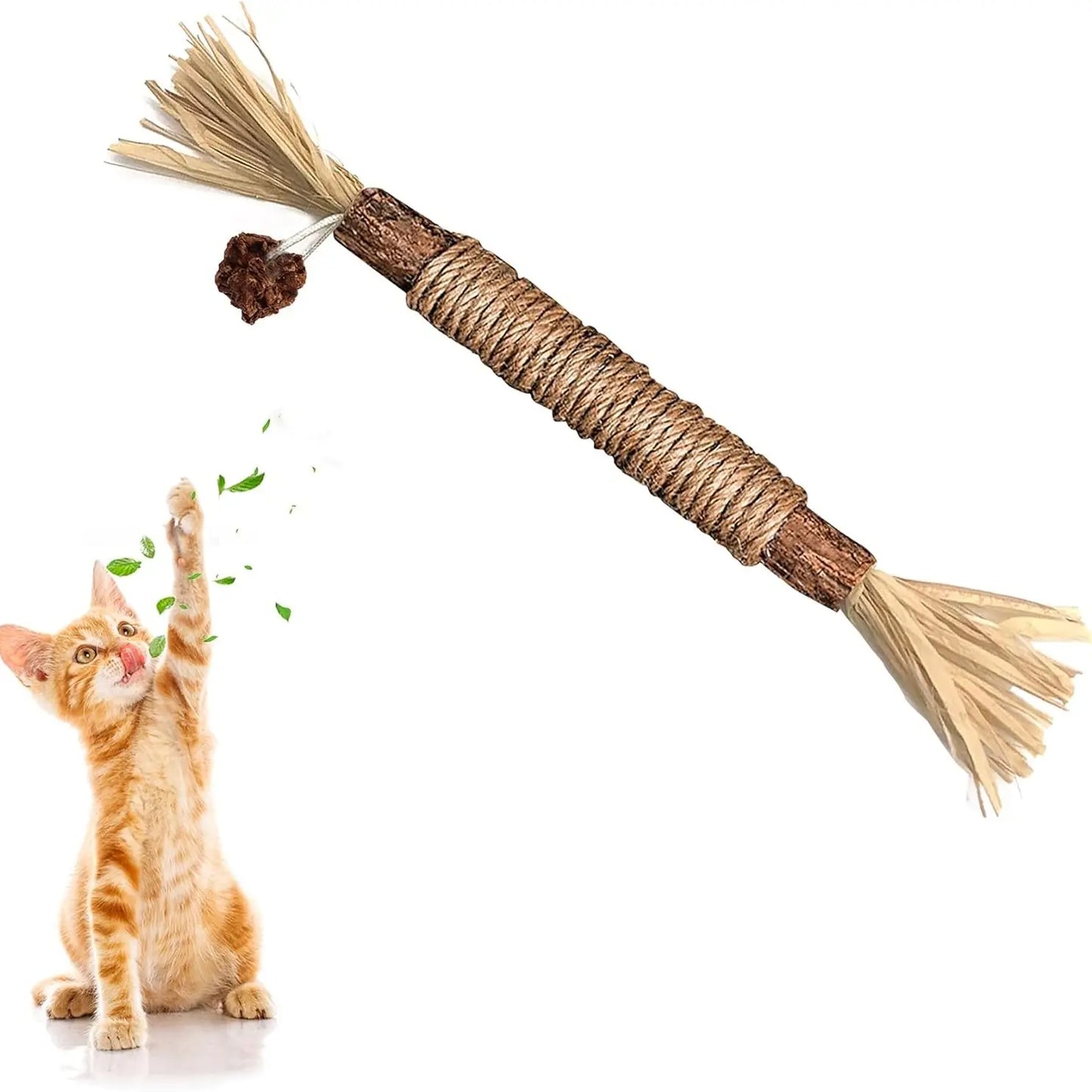Natural Silvervine Chew Sticks for Cats - Premium Interactive Toy for Teething and Dental Health