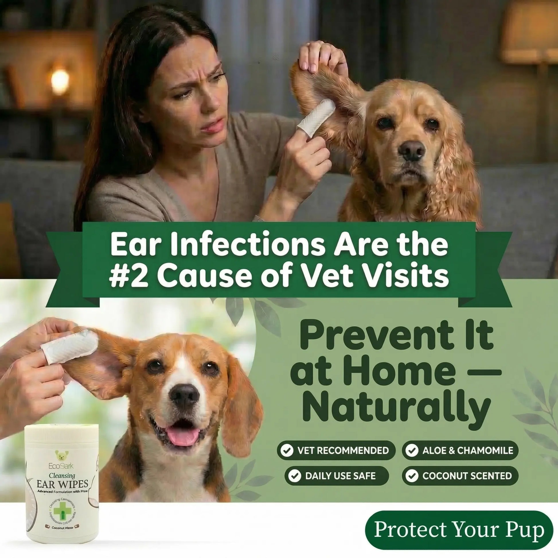 EcoBark Natural Dog Ear Wipes - Gentle Coconut Cleansing for Healthy Ears (50 Count)
