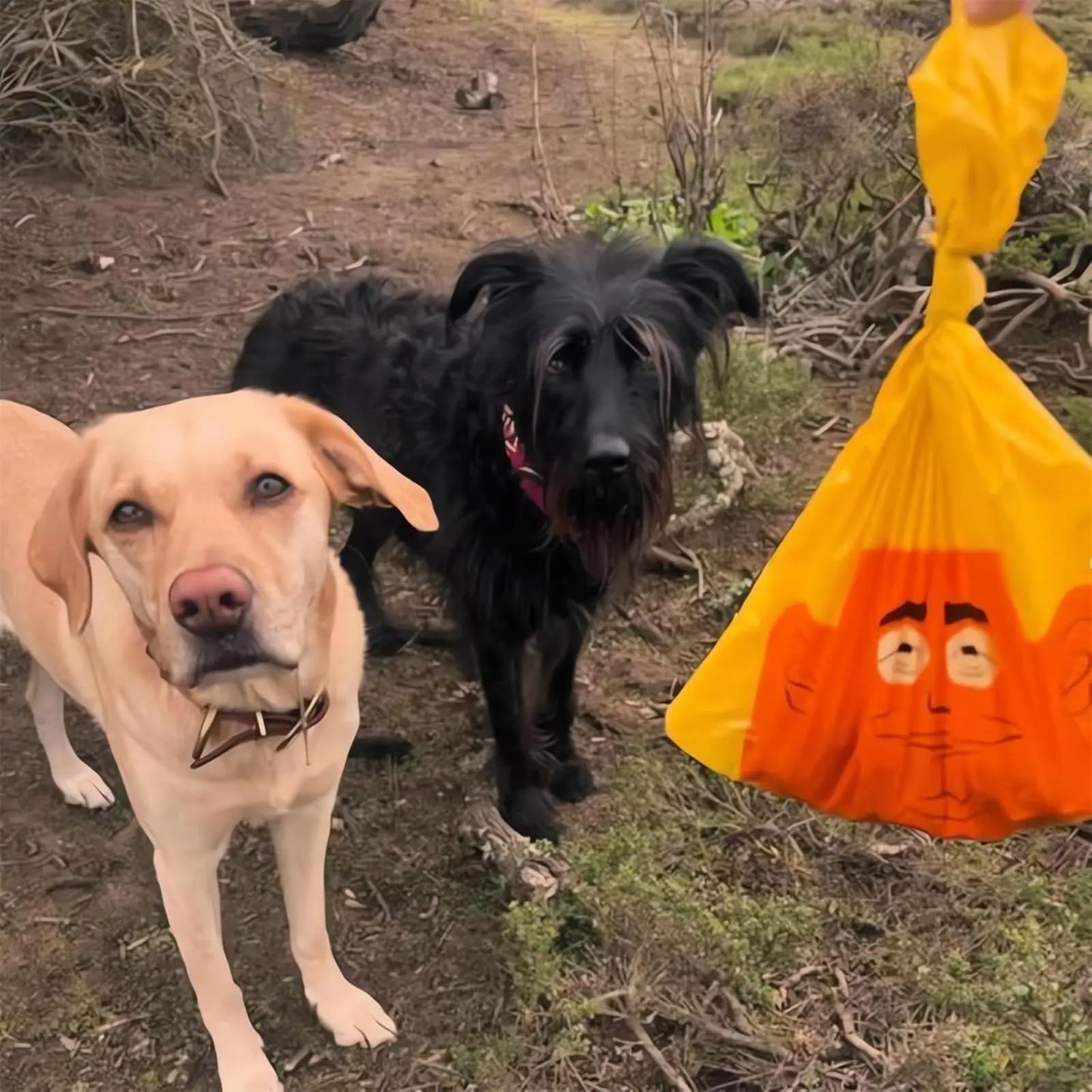 Laugh Out Loud with Our Funny Dog Poop Bags - 60 Count of Hilarious Prank Bags for Pet Owners!
