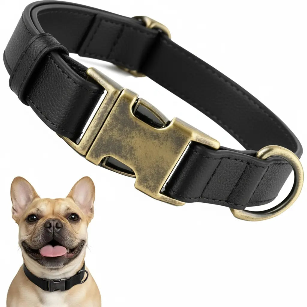 Waterproof, Odor-Free Silicone Dog Collar with Strong Metal Buckle – Perfect for Active Pups!