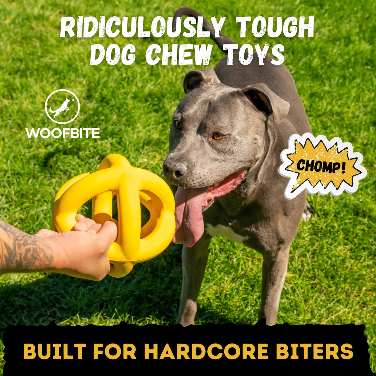 Unleash the Fun with the Monster K9 Giant Halo Ball – The Ultimate Indestructible Dog Toy for XL & Large Breed Power Chewers!