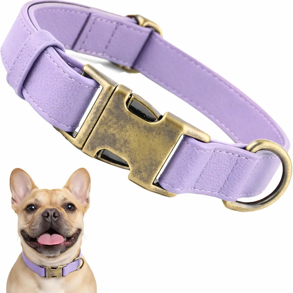 Waterproof, Odor-Free Silicone Dog Collar with Strong Metal Buckle – Perfect for Active Pups!