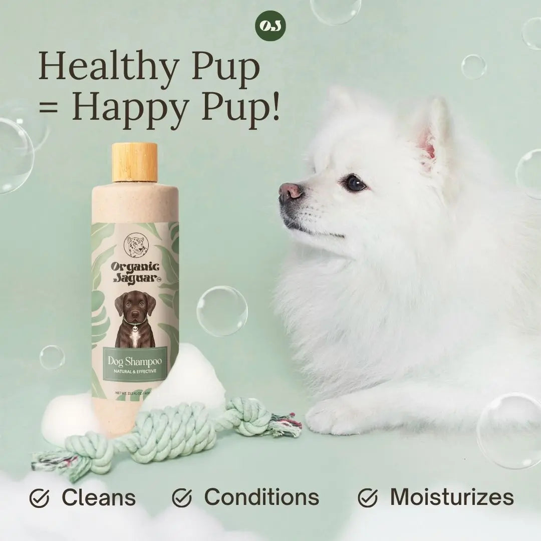 Gentle Organic Dog Shampoo for a Clean, Soft, and Happy Pup