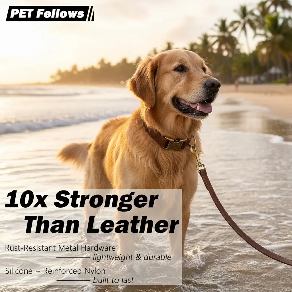 Waterproof, Odor-Free Silicone Dog Collar with Strong Metal Buckle – Perfect for Active Pups!