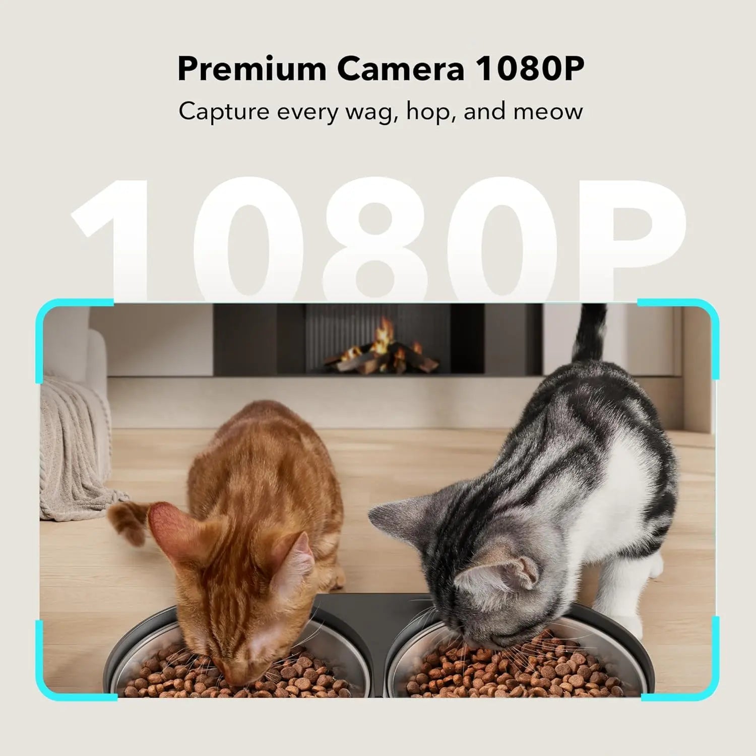 Revolutionize Pet Care with the PETLIBRO Automatic Cat Feeder: 1080P HD Camera, Dual Tray, and Smart Notifications for Cats and Dogs!