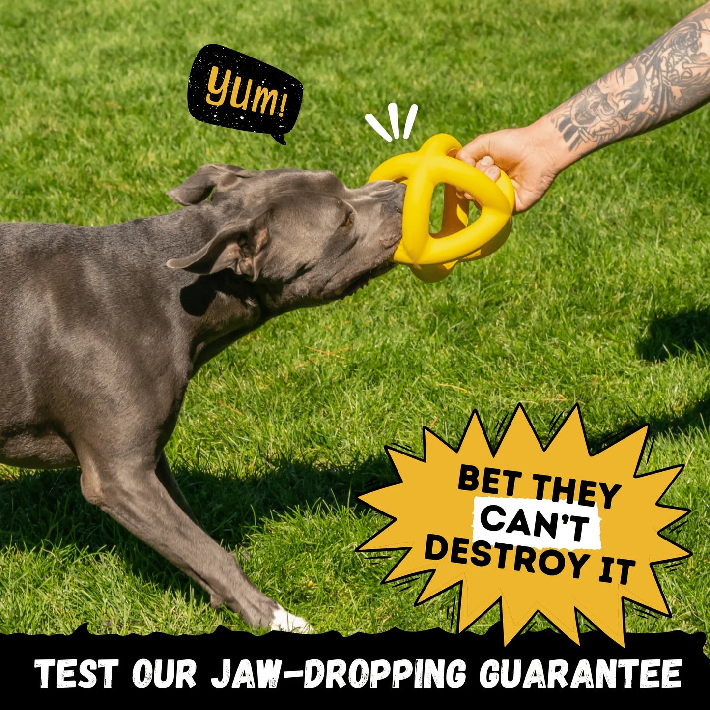 Unleash the Fun with the Monster K9 Giant Halo Ball – The Ultimate Indestructible Dog Toy for XL & Large Breed Power Chewers!