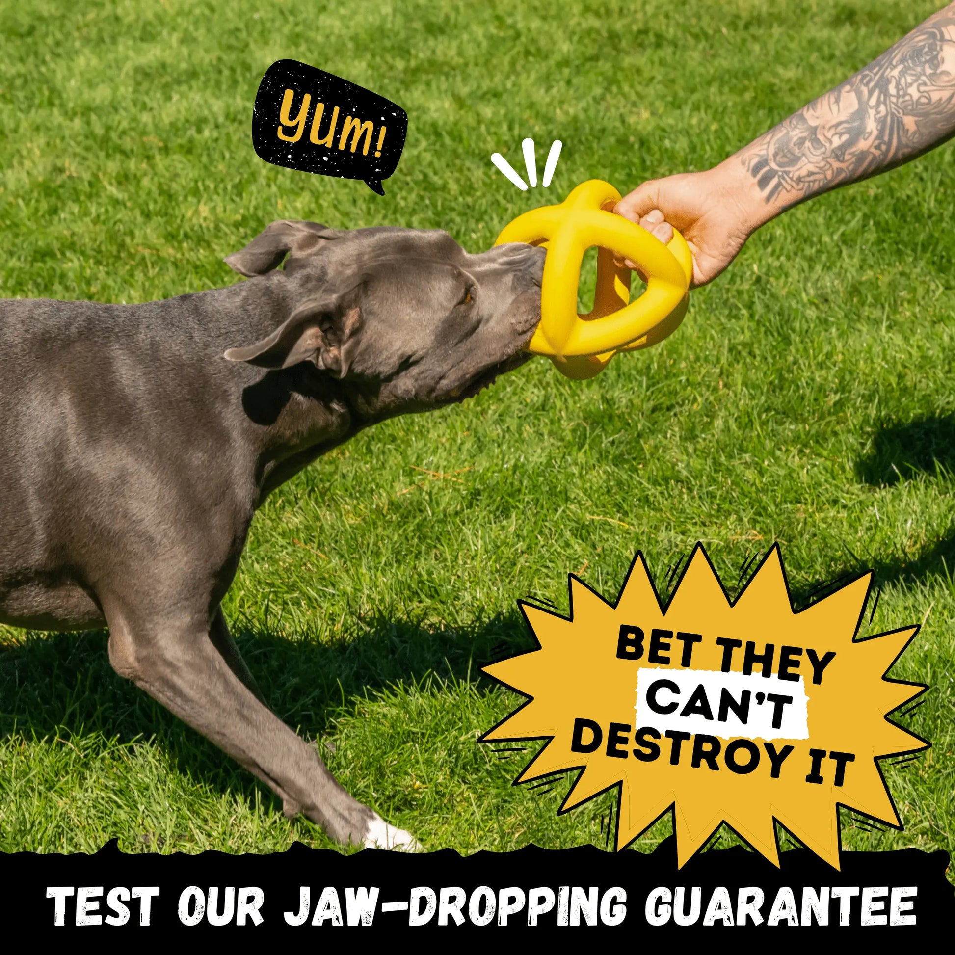 Unleash the Fun with the Monster K9 Giant Halo Ball – The Ultimate Indestructible Dog Toy for XL & Large Breed Power Chewers!