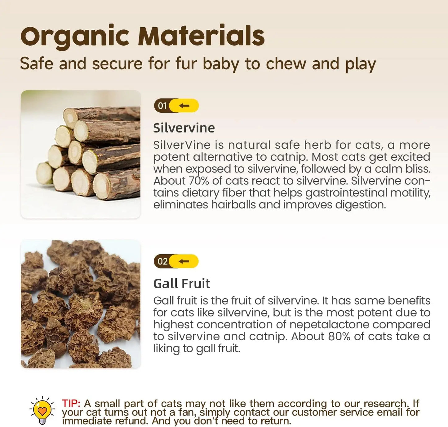 Natural Silvervine Chew Sticks for Cats - Premium Interactive Toy for Teething and Dental Health