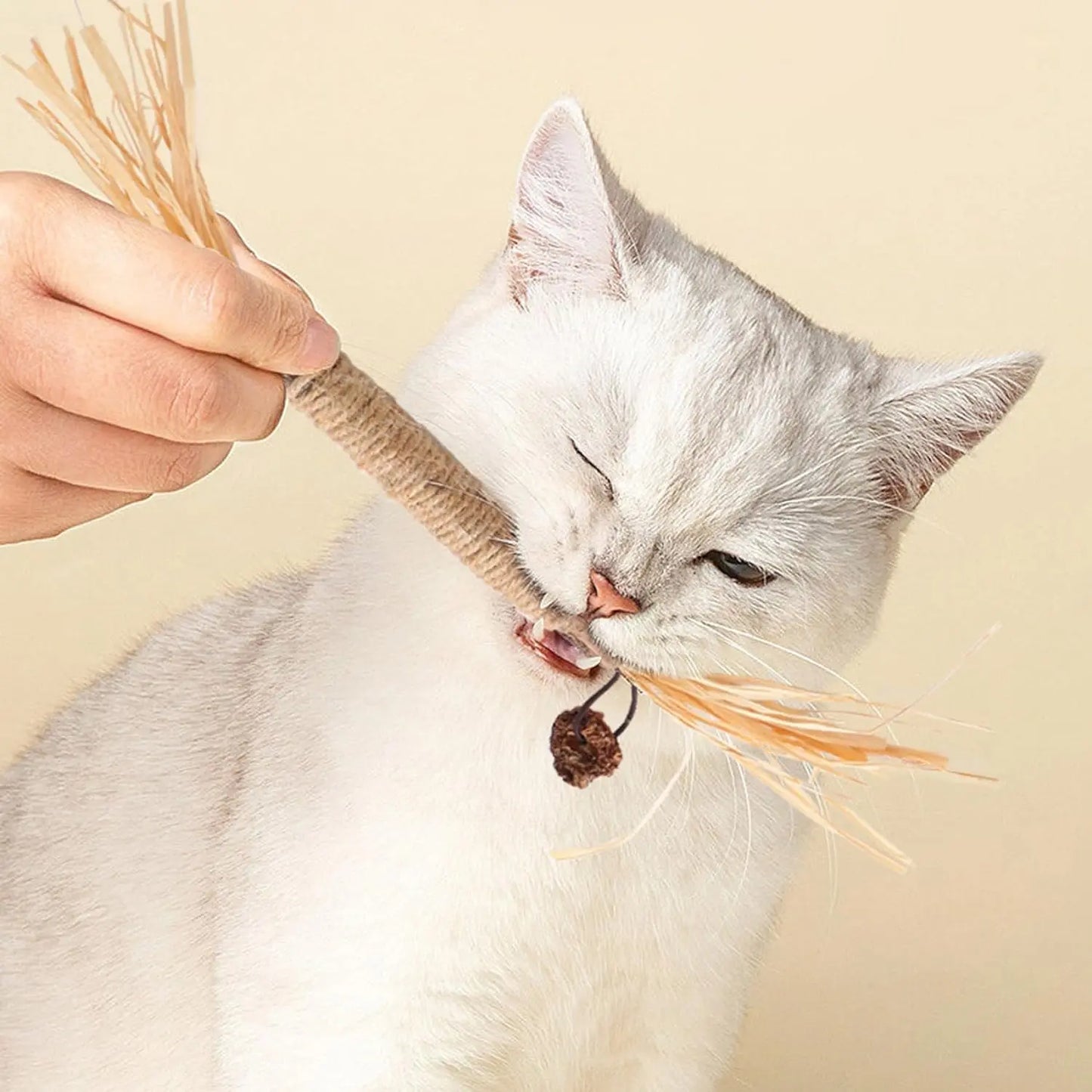 Natural Silvervine Chew Sticks for Cats - Premium Interactive Toy for Teething and Dental Health