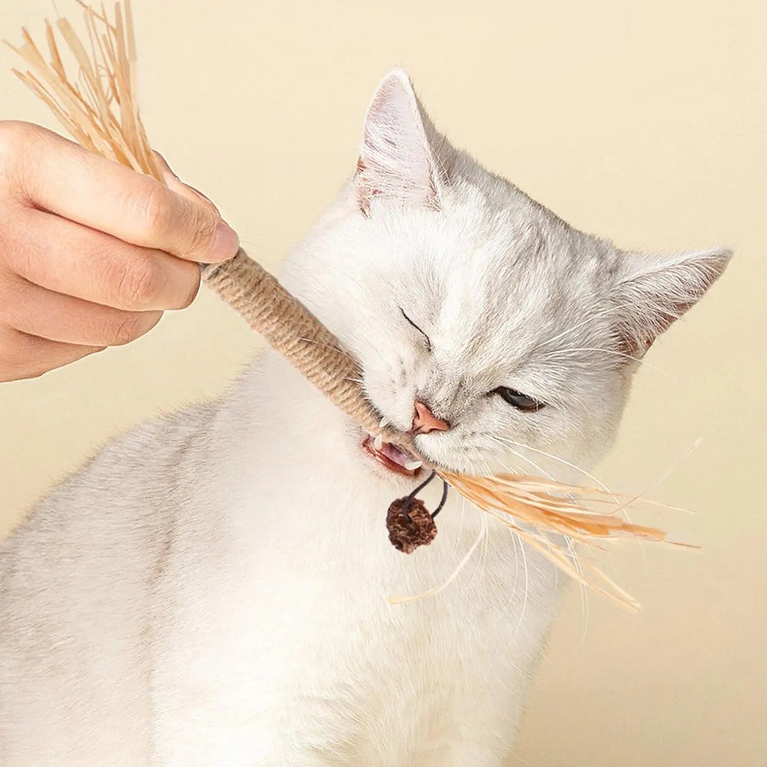 Natural Silvervine Chew Sticks for Cats - Premium Interactive Toy for Teething and Dental Health