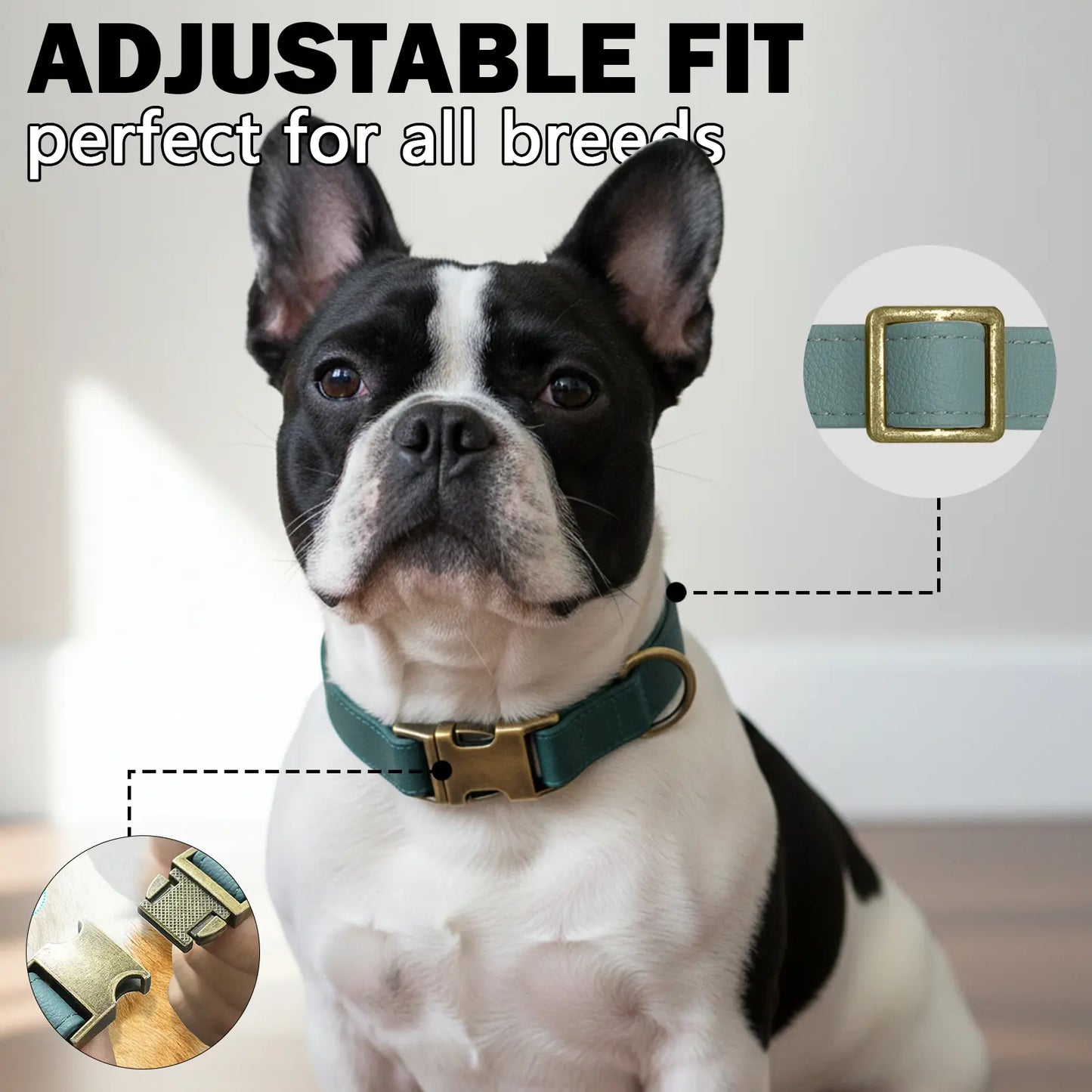 Waterproof, Odor-Free Silicone Dog Collar with Strong Metal Buckle – Perfect for Active Pups!