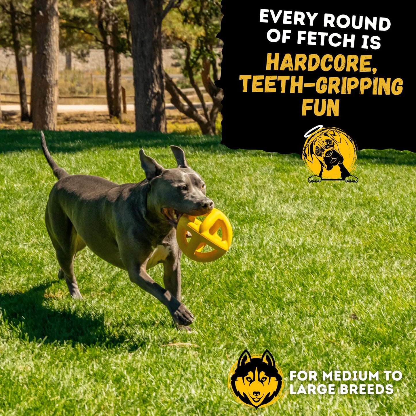Unleash the Fun with the Monster K9 Giant Halo Ball – The Ultimate Indestructible Dog Toy for XL & Large Breed Power Chewers!