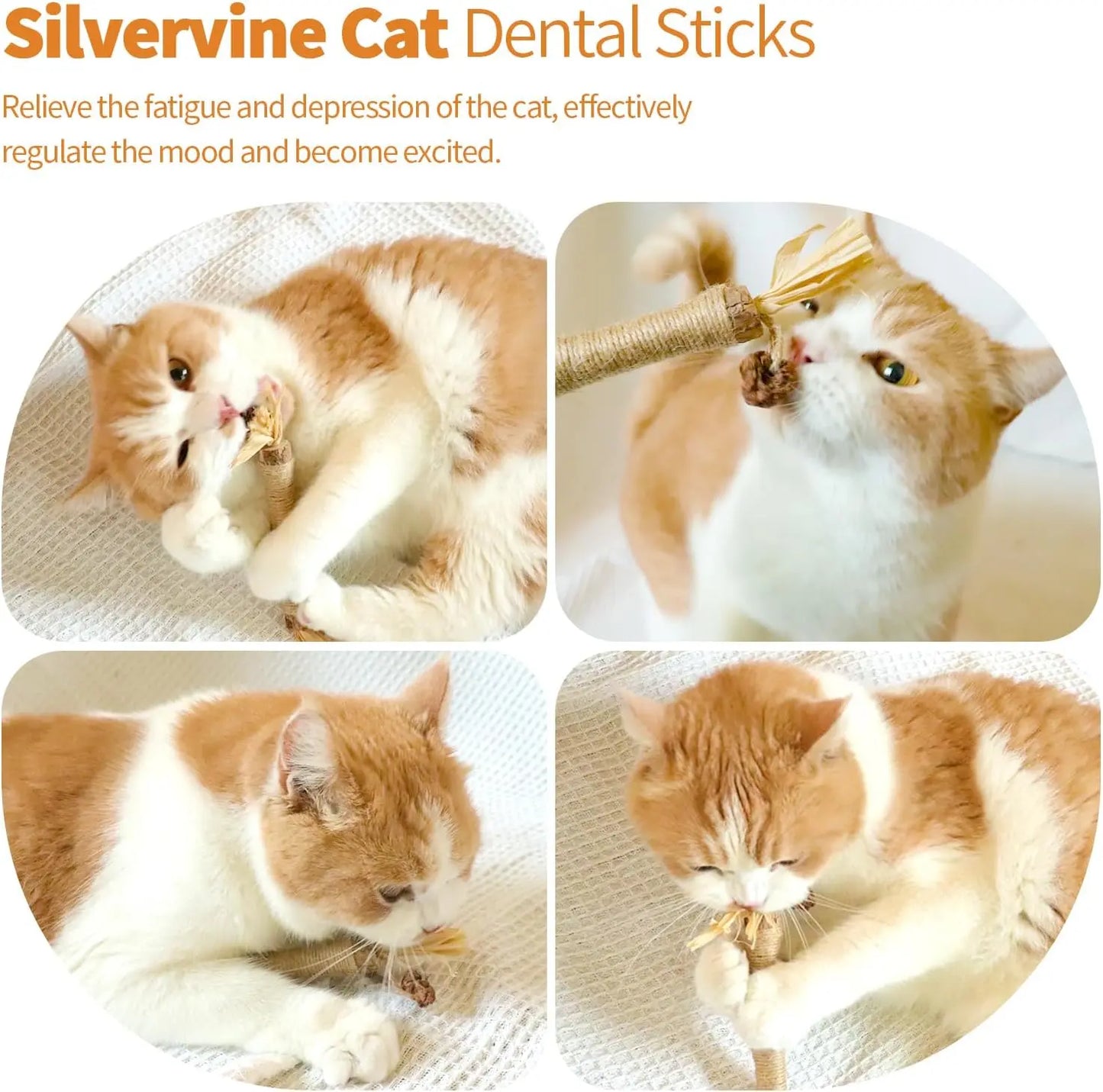 Natural Silvervine Chew Sticks for Cats - Premium Interactive Toy for Teething and Dental Health