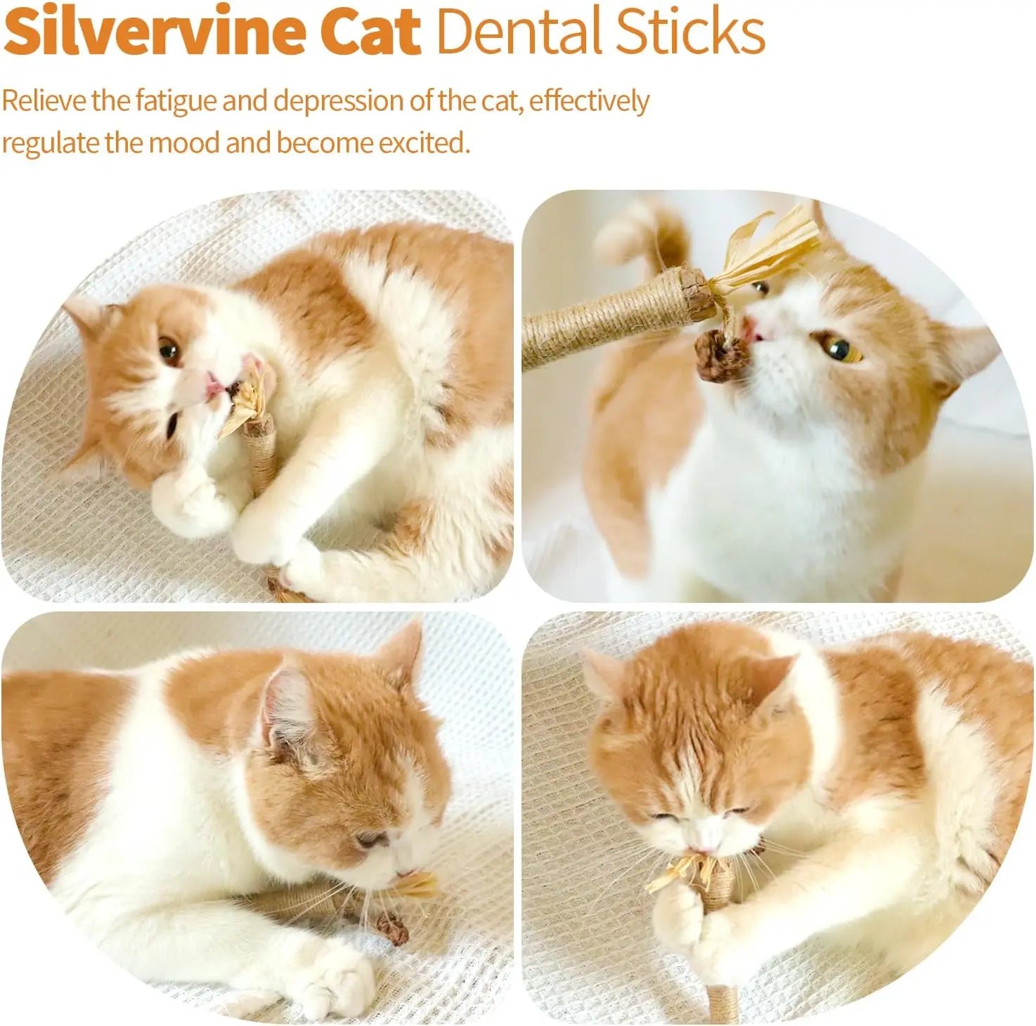Natural Silvervine Chew Sticks for Cats - Premium Interactive Toy for Teething and Dental Health