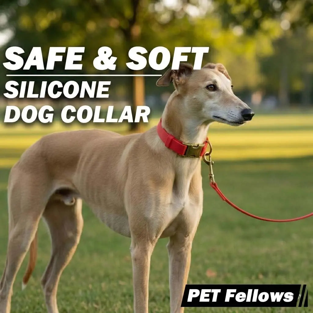 Waterproof, Odor-Free Silicone Dog Collar with Strong Metal Buckle – Perfect for Active Pups!