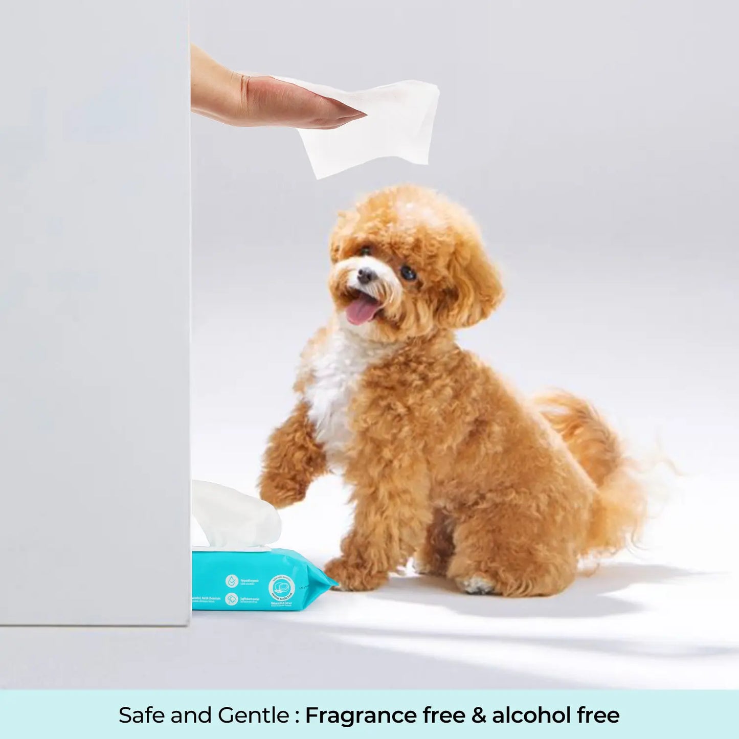Allforpaws Coconut Vanilla Pet Glove Wipes - 100 Alcohol-Free Grooming Wipes for Dogs & Cats with Jojoba and Coconut Oils for Hydration and Odor Control