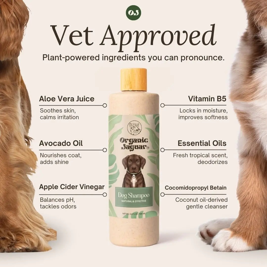 Gentle Organic Dog Shampoo for a Clean, Soft, and Happy Pup